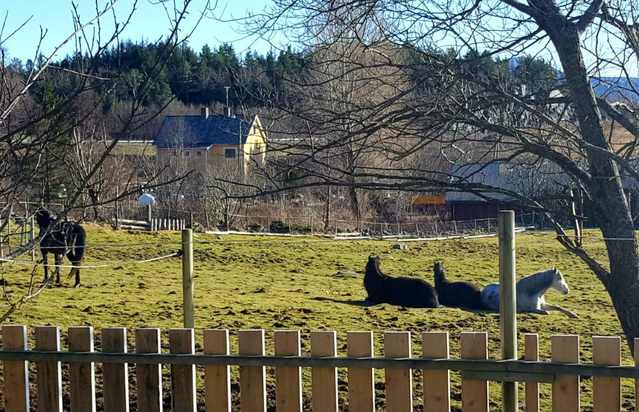 Kjorsvik Ovre Tornes Exterior foto
