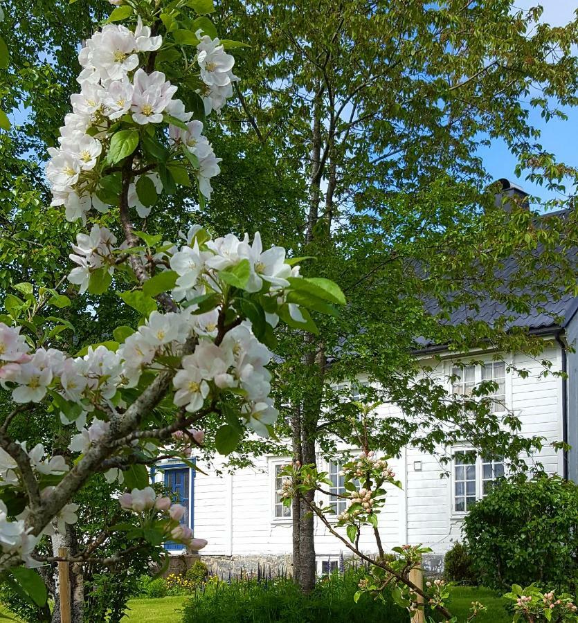 Kjorsvik Ovre Tornes Exterior foto
